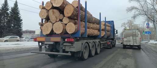 Поиск транспорта для перевозки леса, бревен и кругляка стоимость услуг и где заказать - Курск